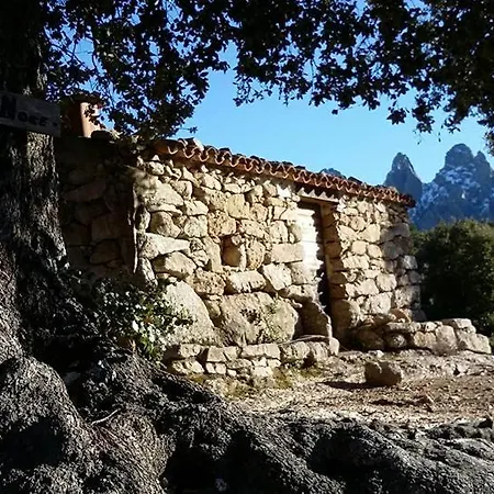 Hébergement de vacances Maison Corse-du-sud