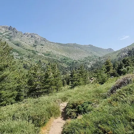 Maison Corse-du-sud Hébergement de vacances *