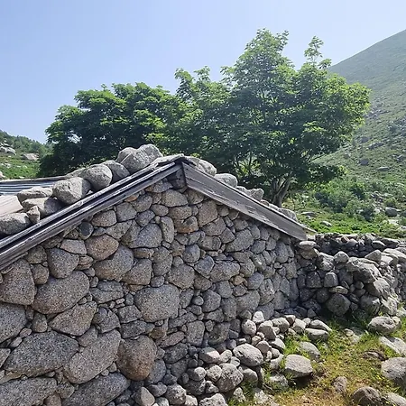 Hébergement de vacances Maison Corse-du-sud Quenza